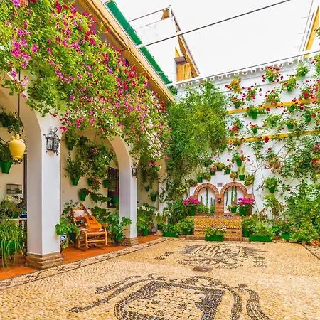 ático Gran Terraza Luz *