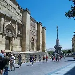 Atico Gran Terraza Luz * Córdoba